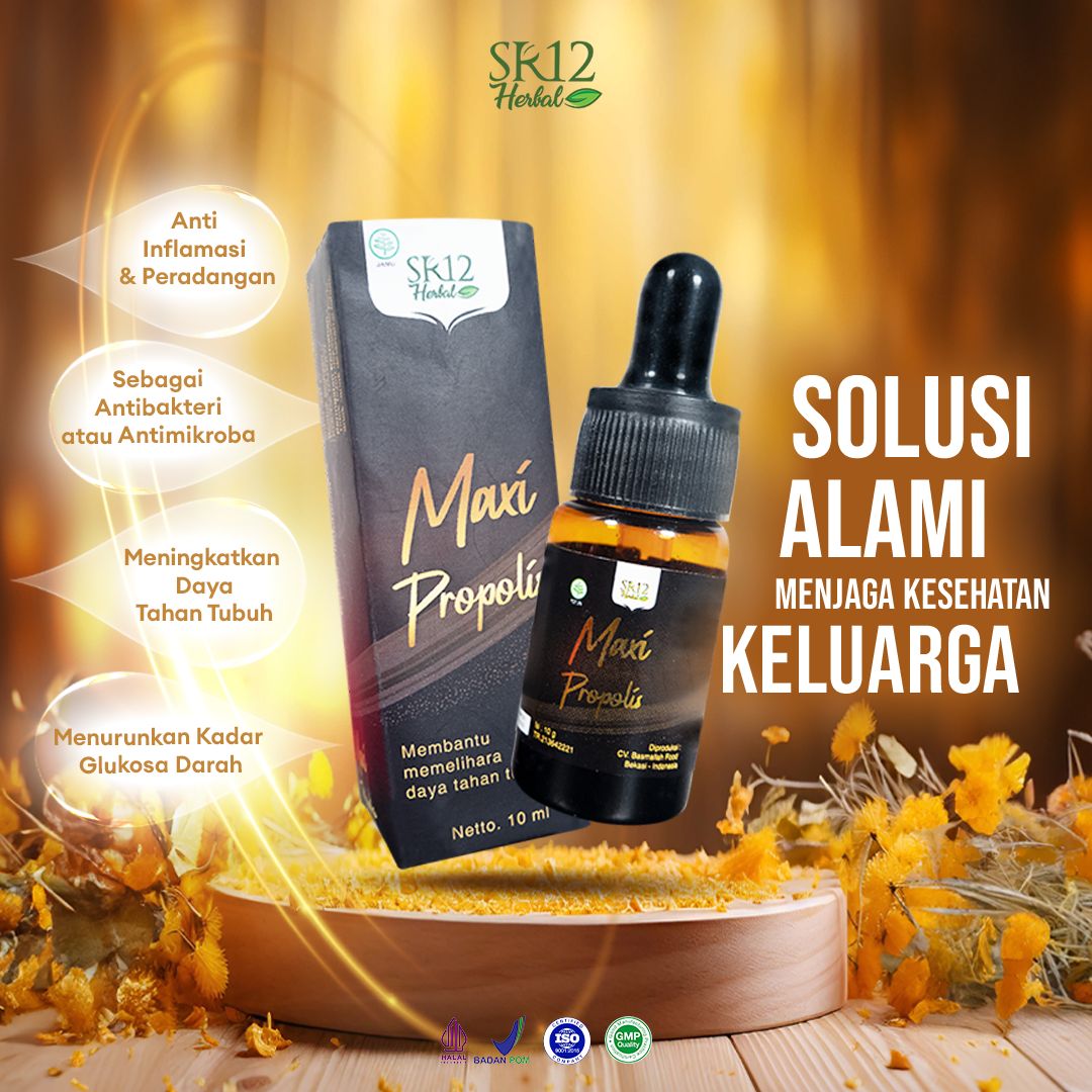 Maxi Propolis - Gambar 3